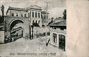 Universitatea