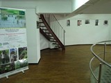 expozitie